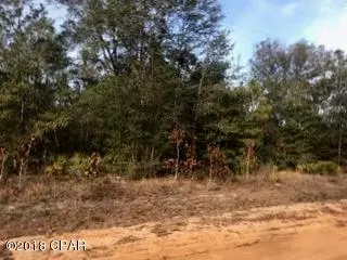 00 Preacher Johns Rd, Fountain, FL 32438