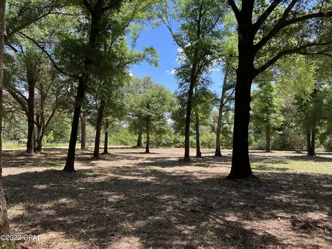 3041 Caroline Dr, Chipley, FL 32428 photo 2