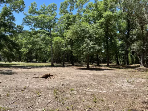 3041 Caroline Dr, Chipley, FL 32428 photo 5