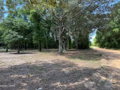 3041 Caroline Dr, Chipley, FL 32428 photo 4