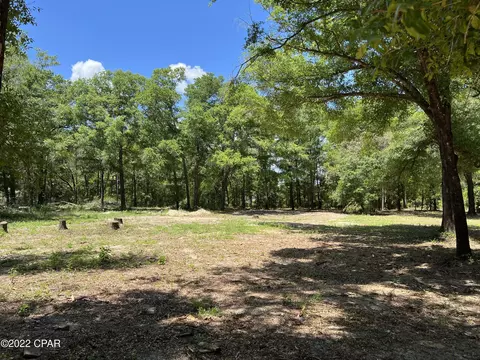 3041 Caroline Dr, Chipley, FL 32428 photo 8
