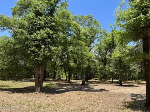 3041 Caroline Dr, Chipley, FL 32428 photo 9