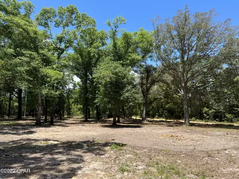 3041 Caroline Dr, Chipley, FL 32428 photo 1
