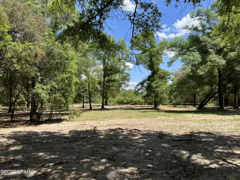 3041 Caroline Dr, Chipley, FL 32428 photo 7