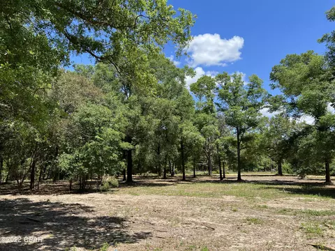 3041 Caroline Dr, Chipley, FL 32428 photo 6