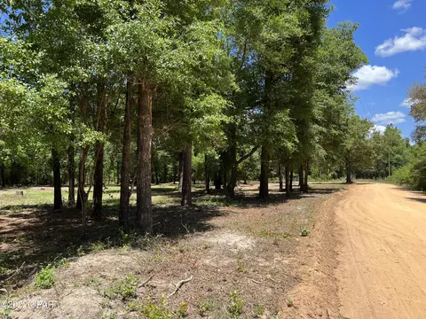 3041 Caroline Dr, Chipley, FL 32428 photo 3