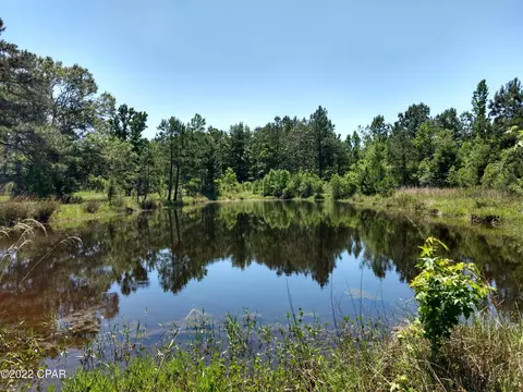 3473 Mallory Rd, Vernon, FL 32462 photo 19
