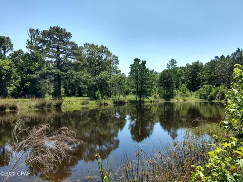 3473 Mallory Rd, Vernon, FL 32462 photo 21
