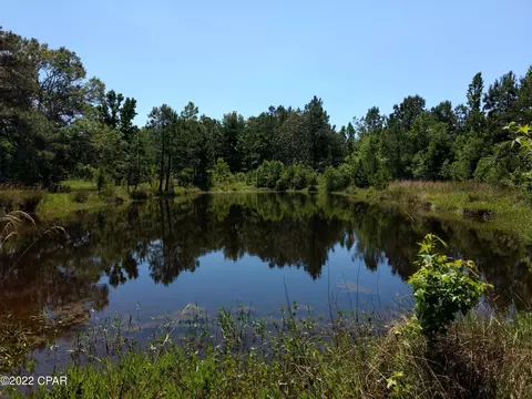 3473 Mallory Rd, Vernon, FL 32462 photo 18