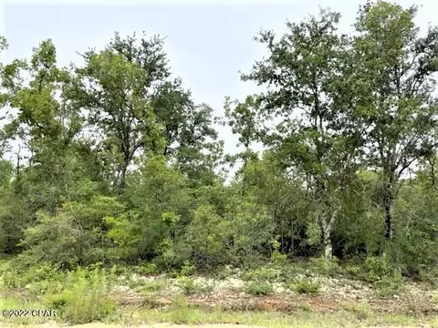 0 Wells St, Alford, FL 32420