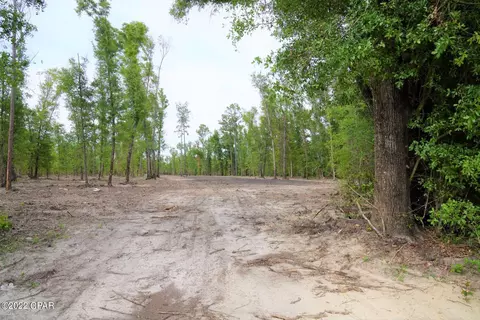 3343 Hwy 71, Wewahitchka, FL 32465