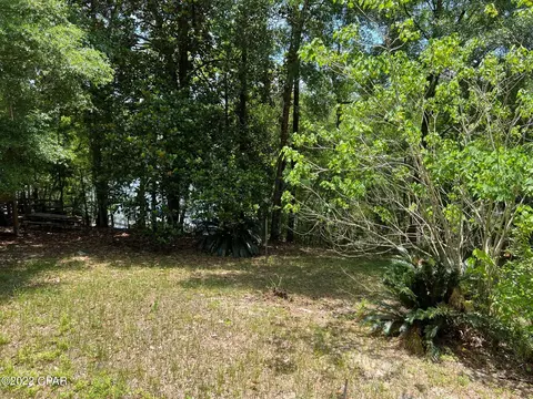 3933 Okchia Cir, Vernon, FL 32462 photo 9