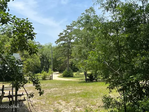 3933 Okchia Cir, Vernon, FL 32462 photo 2