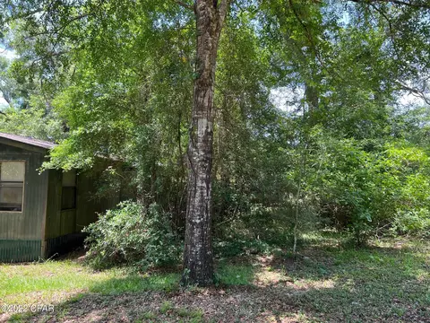 3933 Okchia Cir, Vernon, FL 32462 photo 8