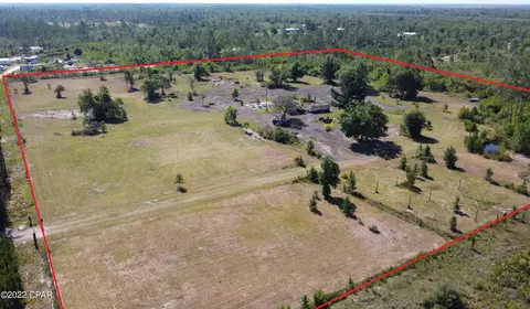 3909 NW Joy Rd, Altha, FL 32421 photo 2