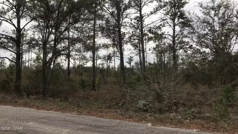 785 Dorcas Rd, Marianna, FL 32448
