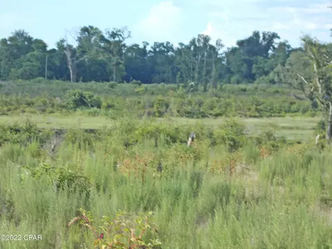 0 Gaines Way, Bascom, FL 32423 photo 16