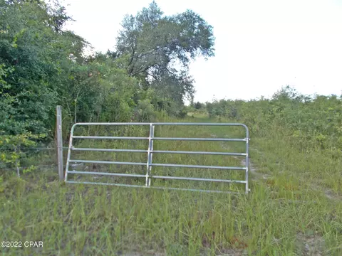 0 Gaines Way, Bascom, FL 32423 photo 11