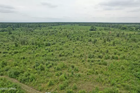 0 Gaines Way, Bascom, FL 32423 photo 8