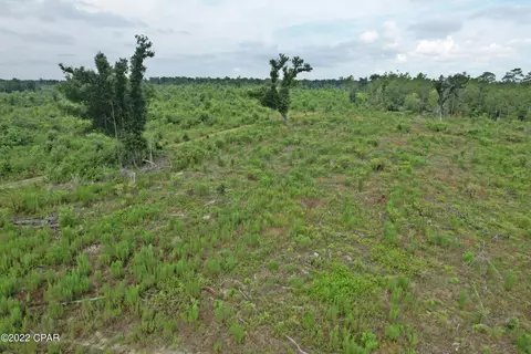 0 Gaines Way, Bascom, FL 32423 photo 7