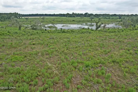 0 Gaines Way, Bascom, FL 32423 photo 9