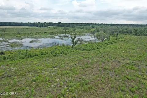 0 Gaines Way, Bascom, FL 32423 photo 2
