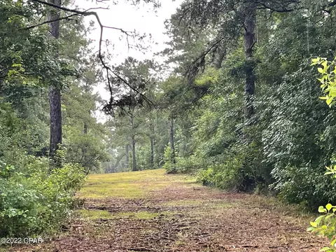 55 Acre Carters Mill Rd, Marianna, FL 32446