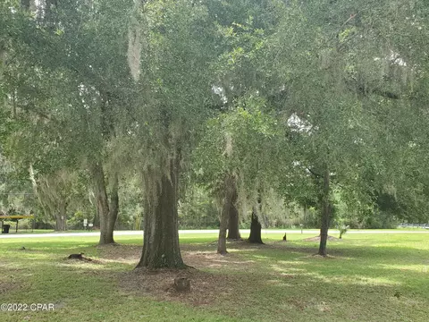 804 W Julia St, Perry, FL 32347 photo 3