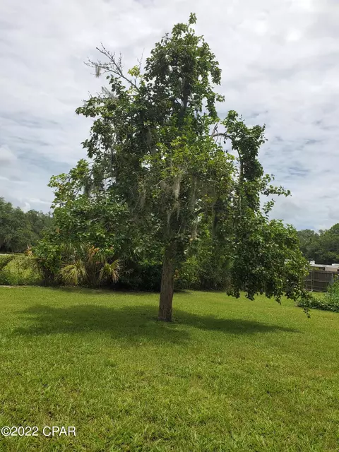 804 W Julia St, Perry, FL 32347 photo 35