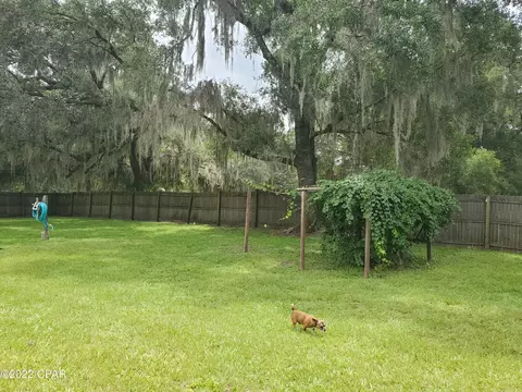 804 W Julia St, Perry, FL 32347 photo 34