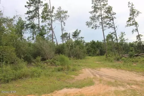 421 Tinker Ln, Chipley, FL 32428 photo 6