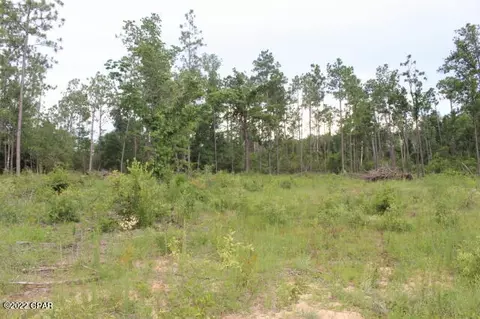 421 Tinker Ln, Chipley, FL 32428 photo 1