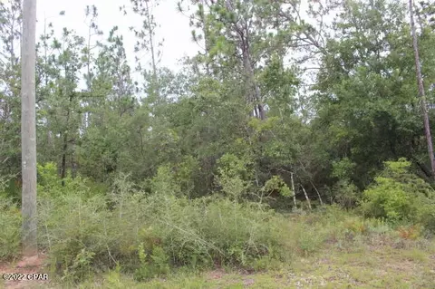 421 Tinker Ln, Chipley, FL 32428 photo 5