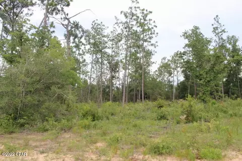 421 Tinker Ln, Chipley, FL 32428 photo 9