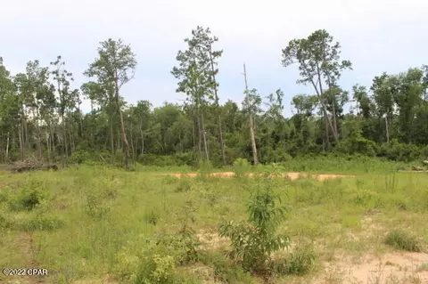 421 Tinker Ln, Chipley, FL 32428 photo 10
