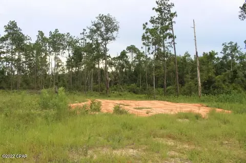 421 Tinker Ln, Chipley, FL 32428 photo 11