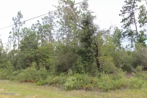 421 Tinker Ln, Chipley, FL 32428 photo 7