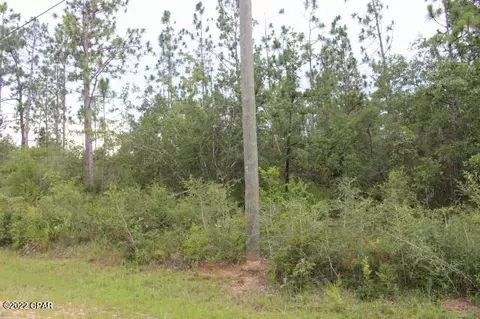 421 Tinker Ln, Chipley, FL 32428 photo 4