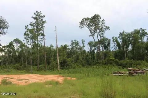 421 Tinker Ln, Chipley, FL 32428 photo 13