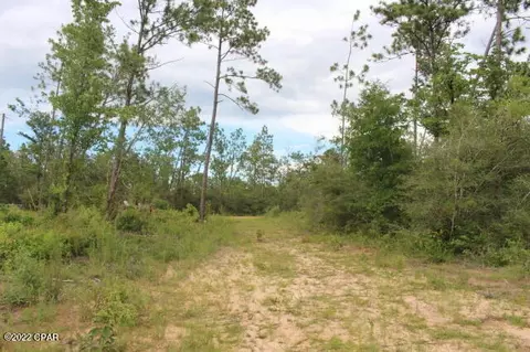 421 Tinker Ln, Chipley, FL 32428 photo 8