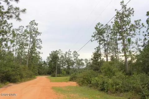 421 Tinker Ln, Chipley, FL 32428 photo 3
