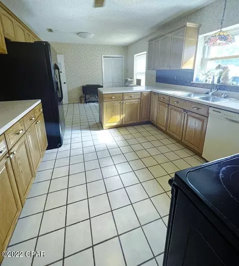 21691 N State Road 71, Altha, FL 32421 photo 10
