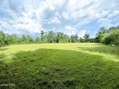 21691 N State Road 71, Altha, FL 32421 photo 8