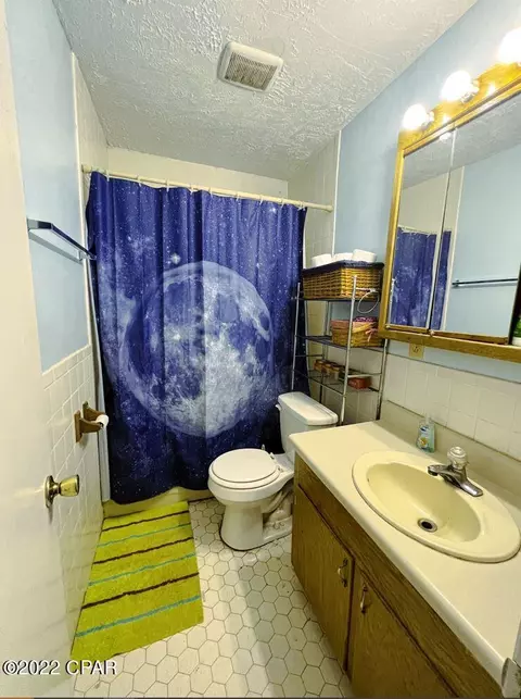 21691 N State Road 71, Altha, FL 32421 photo 22