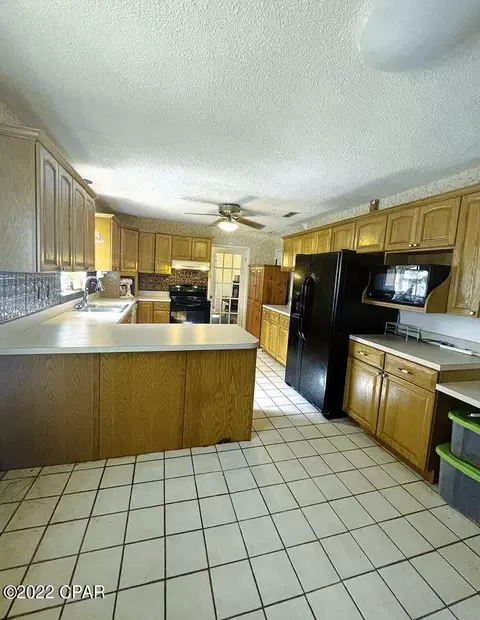 21691 N State Road 71, Altha, FL 32421 photo 9