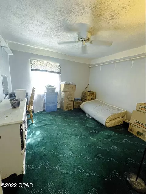 21691 N State Road 71, Altha, FL 32421 photo 14