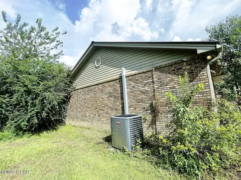 21691 N State Road 71, Altha, FL 32421 photo 5