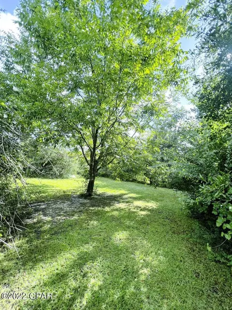 21691 N State Road 71, Altha, FL 32421 photo 7