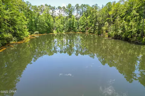 3398 Corgi Ln, Chipley, FL 32428 photo 20