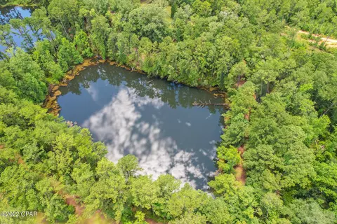 3398 Corgi Ln, Chipley, FL 32428 photo 21